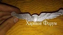 b027b45a42bb20b755d4.webp
