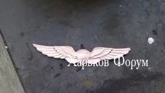 2f67e0975d88b9082.webp