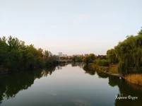 ef014e94f5d320ae3f919f0d.webp