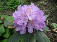  584.webp