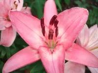DSC05332.webp