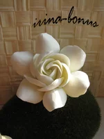  камелия мин.webp