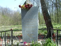 22559295.webp