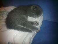 08012012041.jpg