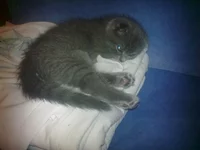 08012012041.webp
