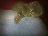 12012012043.jpg