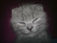 12012012050.jpg