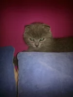18012012066.webp