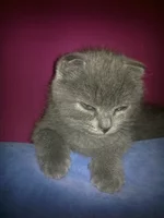 18012012069.webp