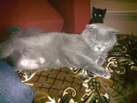 24122011008.webp