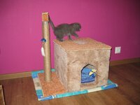 IMG_1433.JPG
