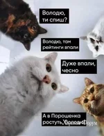 b5caa7275d42c2e9fafe0ccc.webp