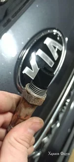 d7c2d9ec38d1c5b180aee0.jpg