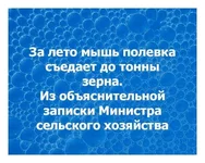3433c484.jpg