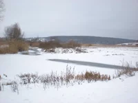 005.webp