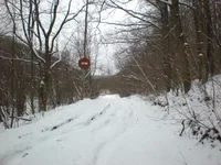  017.webp