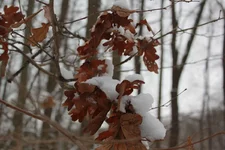 IMG_0410.jpg