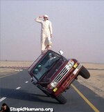 car-tricks-trick-rider-stand-automobile-rerun-stupid-human-1292985535.jpg