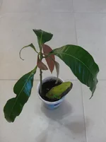 SDC16960.webp