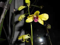 DSCN0148q.webp
