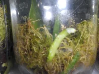 DSCN0131q.webp