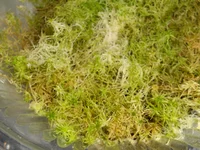 DSCN0137q.webp