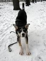 _ноябрь2011 001.webp