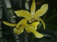07062011720.jpg