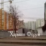 f8e94b7644866f0f.webp