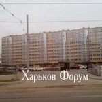 8cd665b3dbb4a112334d2c3.webp