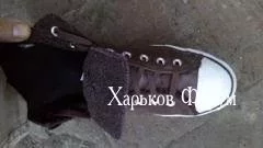 7a17d14fef72e249dad.jpg