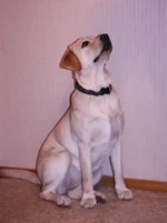 IMG_9869.JPG