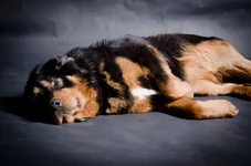 20120121-MVV_9234.webp