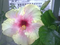 002.webp