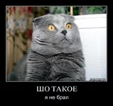 x_3a6bc10c.webp