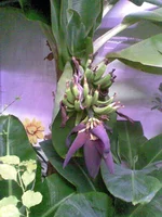 013.webp
