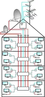 kolsis2.webp