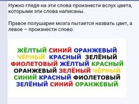 8106e01cd6a92ef6c.webp