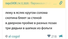 a55dced8641fe11105468a95.webp