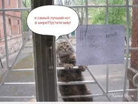 0d6dea4e361226e122edd5.webp