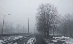 b80664156fd472f6.webp