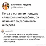 1608805649-fe5461ed3d01e42b94818dd91adeea6e.jpg