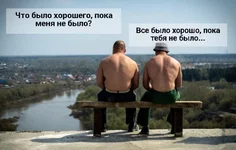 503937_original.jpg