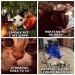 fa043e45a2123d990447.webp