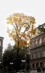 w_eaa6781c.webp