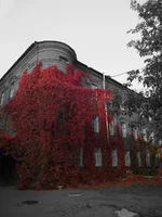 w_8e68c5b0.jpg