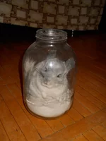 z_3a39e8ab.webp