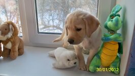 100_1851.jpg