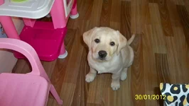 100_1863.webp