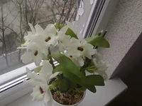 06042010132.webp